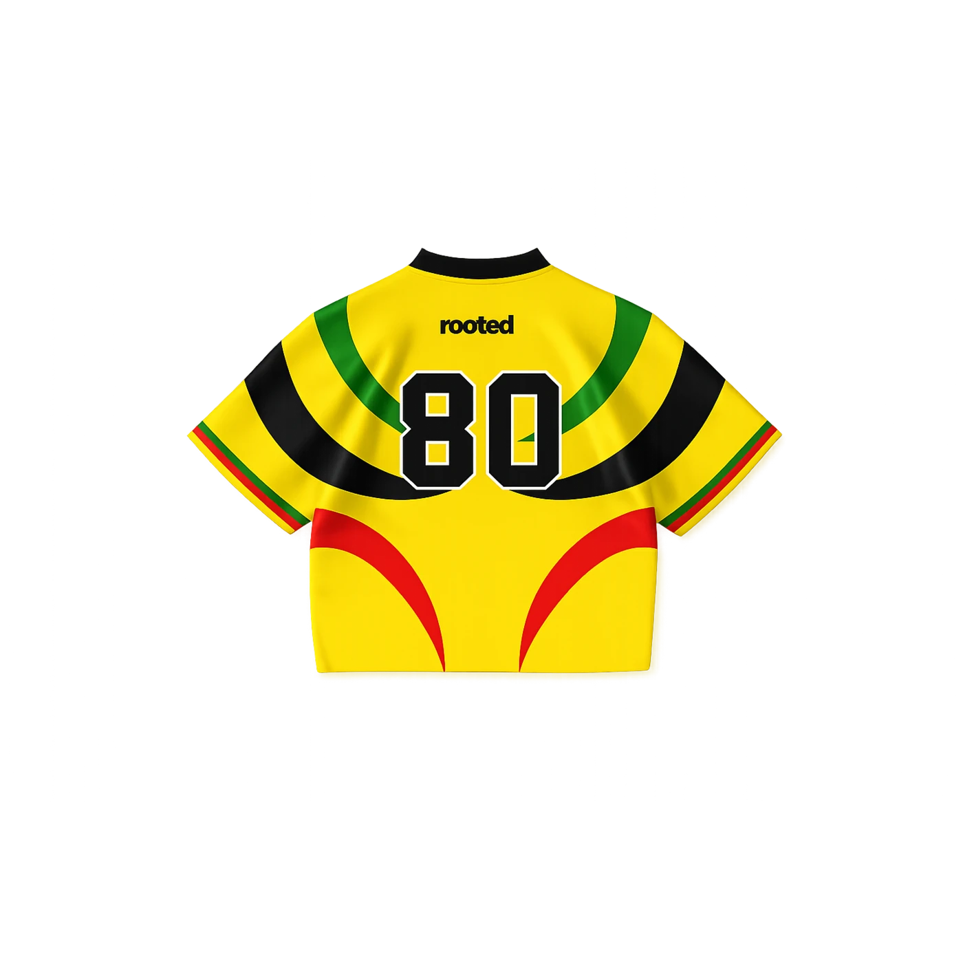 Zimbabwe Jersey view 2